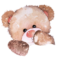 Watercolor teddy bear hand drawn illustration.Lovely Teddy Bear brown toy for valentines day gifts. png