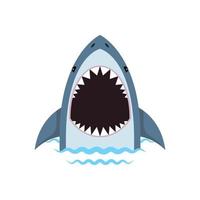 Shark with open jaws  vector isolated