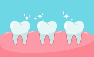 Healthy teeth and gums. Dental health concept. vector