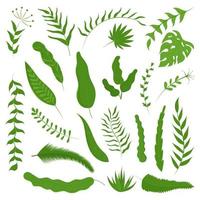 Vector set of tropical leaves. Modern illustration of various botanical elements.