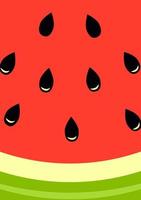 National Watermelon Day. Vector banner with summer fruits and design elements.