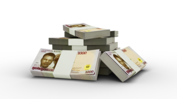 Representación 3d de una pila de 1000 billetes de nigeria naira. fajos de billetes nigerianos aislados en un fondo transparente png