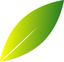 Leaf with green-yellow gradient, element for decoration, PNG format file