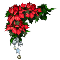 Christmas bunch of flowers png