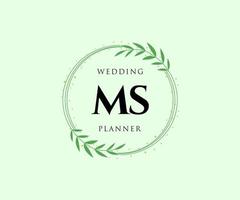 Colección de logotipos de monograma de boda con letras iniciales ms, plantillas florales y minimalistas modernas dibujadas a mano para tarjetas de invitación, guardar la fecha, identidad elegante para restaurante, boutique, café en vector