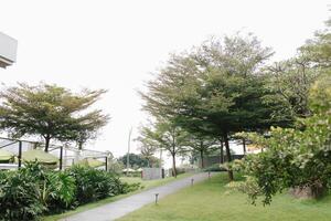 Landscape of a hilly garden and pathway filled with trees and greenery. photo