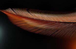 Digital Rendering Beautiful Feather in Soft Light photo