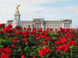 Buckingham Palace in London photo