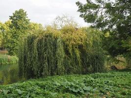 St James's Park in London photo