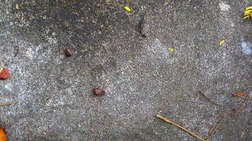 concrete road texture with falling leaves photo