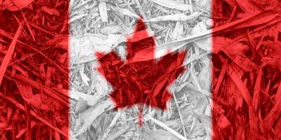 canadian flag texture as background photo