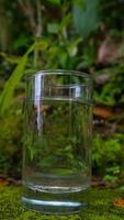 vasos con agua sobre un fondo de planta verde foto