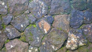 a mossy stone wall as a background photo