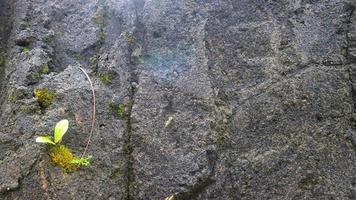 rock-like concrete texture as a background photo