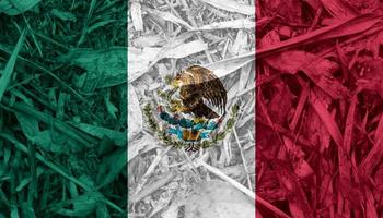 mexican flag texture as a background photo