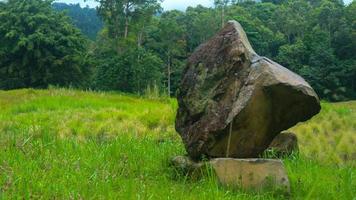 stacked stones piled in the beautiful green grass photo