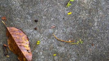 concrete road texture with falling leaves photo