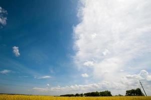 green field with sky photo