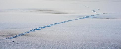 Footsteps on the snow photo