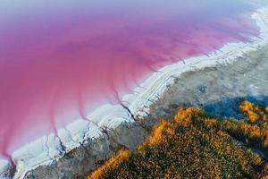 Coast with pink water. Aerial view of majestic landscapes of Jarilgach island in Ukraine photo