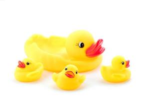Toy Duck Family photo