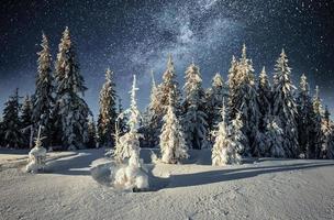 majestuoso paisaje con bosque en la noche de invierno con estrellas en el cielo. fondo de paisaje foto