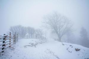 hermoso paisaje de invierno foto