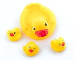 Family duck toy photo