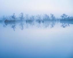 fog in the water photo