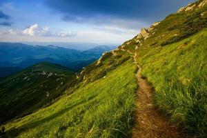 Summer landscape in the mountains photo