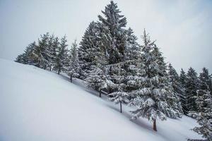 montañas de los Cárpatos de invierno foto