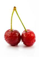 juicy sweet cherries photo