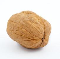 walnut isolated on the white photo