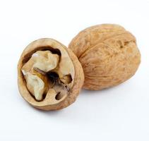 walnut isolated on the white photo