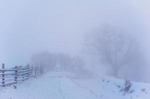 paisaje de invierno en las montañas foto