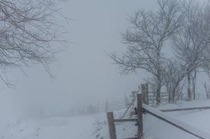 Winter landscape in mountains photo