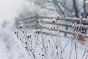 Winter landscape in mountains photo