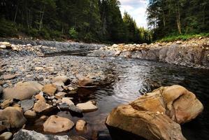 Mountain River in summer photo