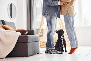 Happy young modern couple standing at home with their cute dog photo