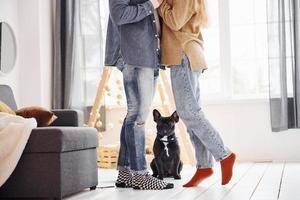 Happy young modern couple standing at home with their cute dog photo