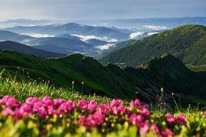 valles con niebla. majestuosas montañas de los cárpatos. Precioso paisaje. vista impresionante foto