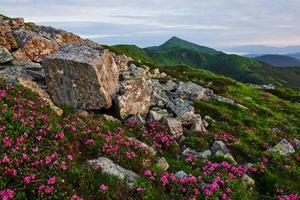 Many of rocks. Majestic Carpathian mountains. Beautiful landscape. Breathtaking view photo