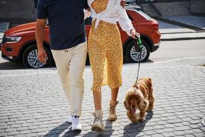 Particle view of lovely couple that have a walk together with dog outdoors near the car photo