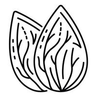 Fresh almond nut icon, outline style vector