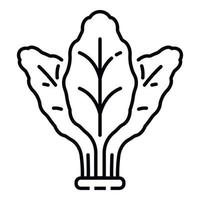 Fresh spinach icon, outline style vector