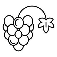 Farm grape icon, outline style vector