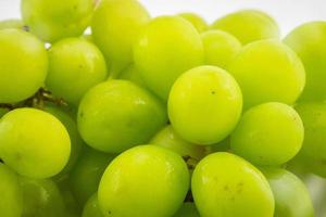 Close up green grape on white background photo