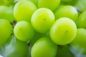 Close up green grape on white background photo