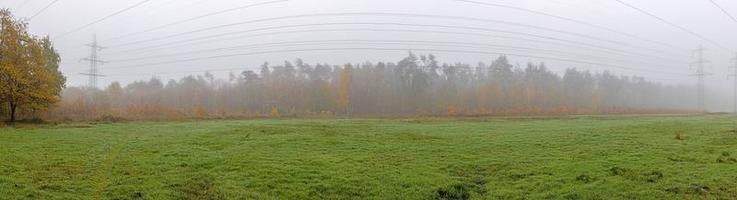 imagen de postes de energía en un bosque durante el clima nublado de otoño foto