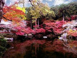 Beautiful and multi colors of maple trees with pond and shadow refection on bight blue sky background. photo